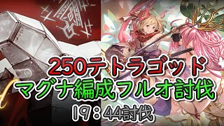 【古戦場】テトラゴッド 250HELL マグナ編成フルオート 19分44秒討伐【グラブル】 [upl. by Crenshaw]