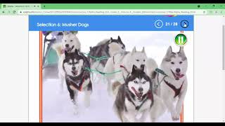 Musher Dogs [upl. by Aikemehs618]