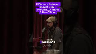 Black Bear vs GRIZZLY BEAR ON JOE ROGAN PODCAST shorts joerogan wildlife wwe [upl. by Siberson576]