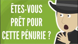 Comment Vous Vous Armez Contre La Pénurie Dénergie [upl. by Eitirahc893]