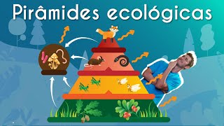 Pirâmides ecológicas  Brasil Escola [upl. by Gnep]