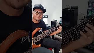 Imaginarme sin ti  Elvis Crespo  Bass cover [upl. by Natam]