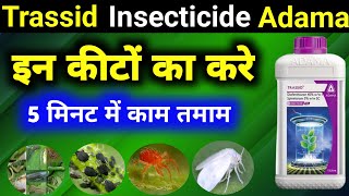 Trassid Insecticide Adama Trassid InsecticideTrassid Adama Bajrang Beej Bhandar [upl. by Saiasi87]