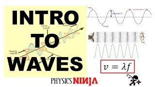 Introduction to Waves [upl. by Rutger984]