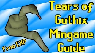 Tears of Guthix Minigame Guide  OSRS [upl. by Ivetts]