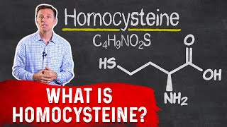 What Is Homocysteine – Dr Berg [upl. by Proffitt]