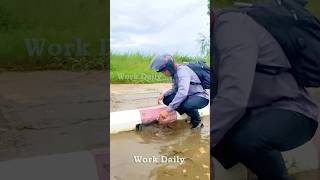 Clearing the Drain Unclogging Storm Drains to Restore Flow [upl. by Clayborn413]