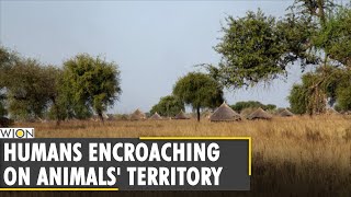 Rangers battle human encroachment in Dinder national park  Sudan wildlife  Latest English News [upl. by Atinahc636]