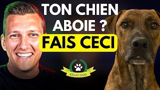 Chien qui aboie  la solution pour lempêcher daboyer  EDUC DOG [upl. by Jasper]