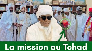 Tchad  Tout ce quil faut savoir sur la délégation du Khalife Mondial de la Fayda Tijaniyya [upl. by Hanshaw744]