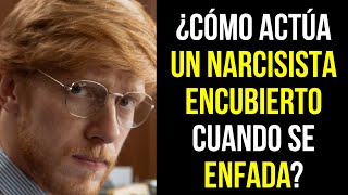 ¿Cómo expresan los NARCISISTAS ENCUBIERTOS la IRA NARCISISTA [upl. by Alburg]