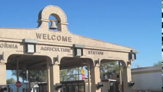 Border Inspection and Transporting Honeybee Colonies to California for Almond Pollination [upl. by Aicilaf]