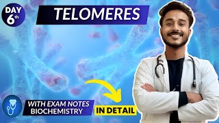 telomeres biochemistry  telomerase biochemistry  telomerase replication in eukaryotes biochemistry [upl. by Stalker]