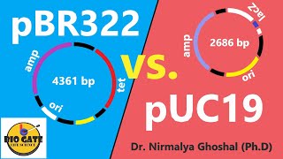 pBR322 vs pUC19 animation cloning csirnet [upl. by Wolfe900]