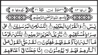 Surah yasin Yaseensurah ar rahmanampsurah al mulk full with Arabic HDسورةيس 36recitationlze72479 [upl. by Esela]