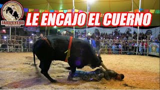 ¡¡LE ENCAJO EL CUERNO Rancho Las Cubatas En San Andres Totoltepec Mex 2016 [upl. by Gnouhc843]