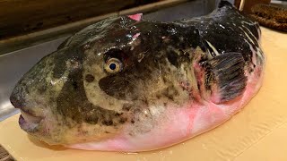 【FUGU】LE PLUS GROS POISSON MORTEL DU JOUR AU MARCHÉ TOYOSU [upl. by Noteek443]