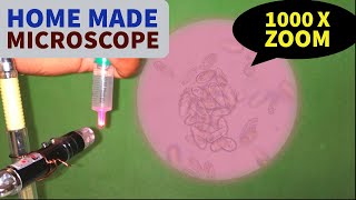 1000 X zoom without Microscope at Home using Laser Light [upl. by Zola]