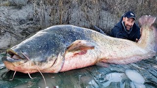 Pesca a Spinning al Siluro Gigante da un quintale  HD by Catfishing World [upl. by Kelvin]