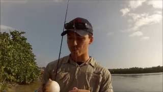 Fishing Englewood Florida [upl. by Schreib]