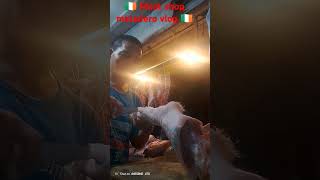 🇮🇪 Meat shop matadero vlog 🇮🇪 [upl. by Brenda]