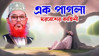 saidi Waz মাওলানা দেলোয়ার হোসাইন সাঈদী  delowar hossain saidi বটগাছের নিচে এক দরবেশের কাহিনী [upl. by Oiziruam238]