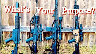 22 LR  223  65 Grendel  350 Legend  What’s Your Purpose [upl. by Nonnel89]