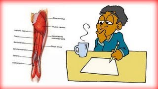 Focus on glute or quads for jumping [upl. by Ackerman]