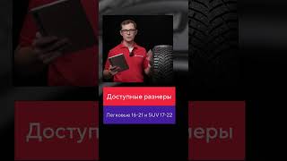 Обзор шин Michelin X Ice North 4 зимняя резина [upl. by Lang]