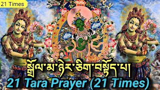 ☸21 Tara Prayer21 times སྒྲོལ་མ་ཉེར་ཅིག་བསྟོད་པ།Dolma Prayer Jetsun Dolma21 Praises To Tara [upl. by Nicholle]