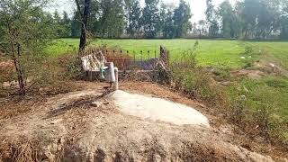 Today I am developing the biogas plant built 50 years ago in Pakistan Village Blogging [upl. by Enninaej]