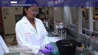 How to Control Contamination in PCR lab [upl. by Galang]