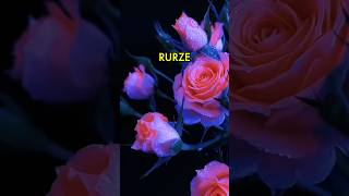 Na gurze rurze 🌹🧸 [upl. by Lau39]