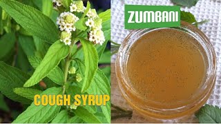 How to make zumbani herbal cough syrup  Lippia Javanica  Lemon Bush umsuzwane [upl. by Coppola94]