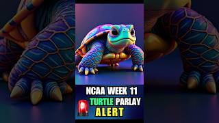 Week 11 College Football Parlay Alert GA vs Ole Miss  Bama vs LSU [upl. by Renate]