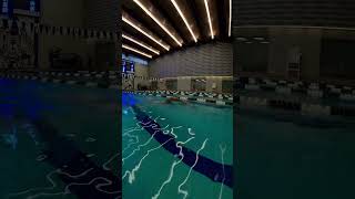 Smooth relaxed and easy freestyle swimming swimming [upl. by Muhan]