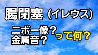 看護学生の時調べた腸閉塞イレウスの症状『鏡面像と金属音』とは！ [upl. by Holmun106]