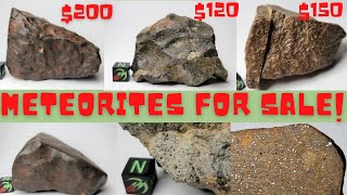 Meteorites for Sale Unclassified  Buy Real Meteorites from Space Three NWA Chondrite Meteorites [upl. by Tiff]