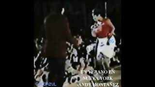 UN VERANO EN NUEVA YORK  ANDY MONTAÑEZ EL GRAN COMBO [upl. by Ansilme]