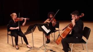 Pachelbels Canon in D String Trio [upl. by Nonad]