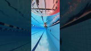 Smooth and relaxed freestyle swimming swimming [upl. by Lashoh]