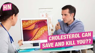 Whats the Difference Between HDL and LDL Cholesterol cholesterol [upl. by Ahseile]