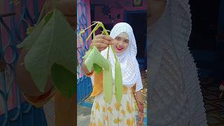 Muslim girl cooking vegetable vorta recipe vorta trending shorts [upl. by Eiffe]