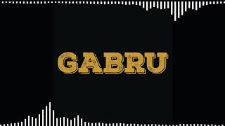 gabru dj janghel amp dj gol2 bsp kings [upl. by Ainatit]