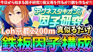 【因子研究】今日から始まる因子研究Lohエリ女の鉄板因子構成祖父母を作るか親を作るか ウマ娘 [upl. by Rechaba]