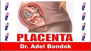 Placenta Dr Adel Bondok [upl. by Billat947]