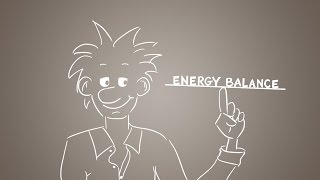 Energy balance explained  get the balance right [upl. by Aksel]