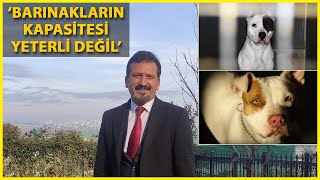 Veteriner Hekimler Odası Başkanı Yasaklı Irkların Kayıt Süresi Uzatılmalı [upl. by Ennyrb]