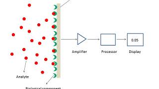 What are biosensors [upl. by Llesram]