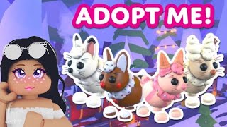 New adopt me Christmas update week 3 Roblox￼ [upl. by Natelson610]